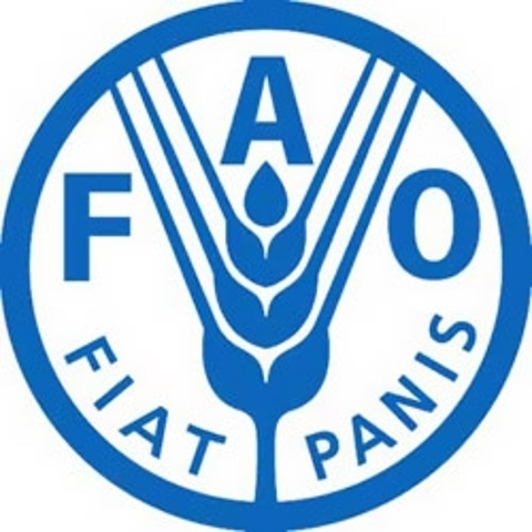 fao fao